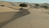 Dunes of Ouarane